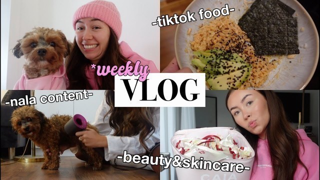 'Beauty Secrets, Food Test & Walkiiies - VLOG I PaulinaMary'