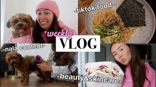 'Beauty Secrets, Food Test & Walkiiies - VLOG I PaulinaMary'