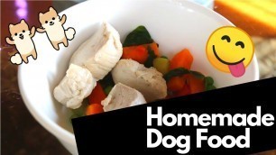 'How to make homemade dog food for puppies | cute pomeranians reaction!'