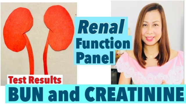 'CKD | RENAL PANEL BUN and CREATININE'