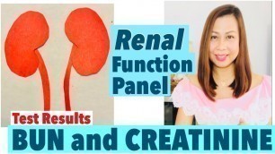 'CKD | RENAL PANEL BUN and CREATININE'