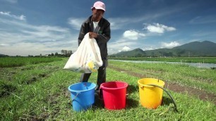 'Global Information System on Plant Genetic Resources for Food and Agriculture'