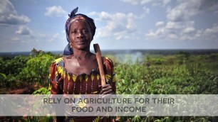 'FAO\'s work on protecting, saving & restoring agricultural livelihoods'