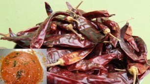 'Simply Spicy Hot Red Chilli Chutney Recipe for Idly / Dosa || Food Money Food'