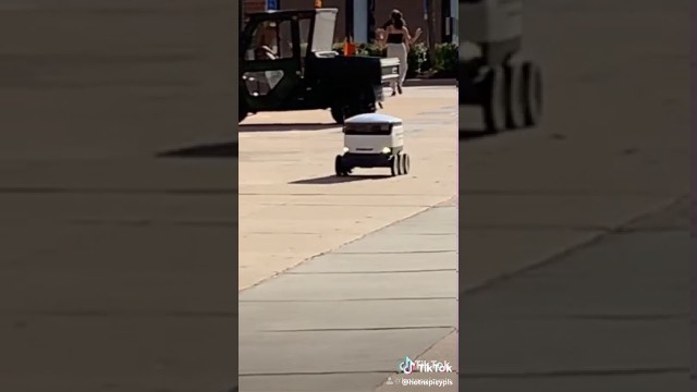 'Little robot delivering food tik tok meme'