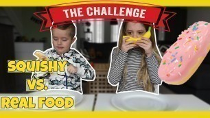 'SQUISHY VS REAL FOOD CHALLENGE !! - Broer en Zus TV VLOG #139'