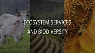 'FAO Policy Series: Ecosystem Services and Biodiversity'