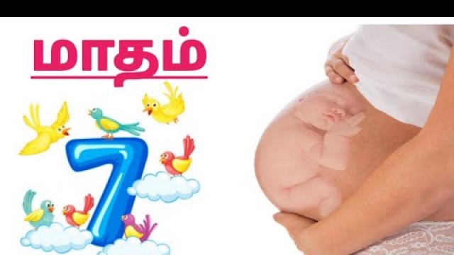 'மாதம் 7 || 7th Month Pregnancy Foods in Tamil ||7th month pregnancy tips || 7th month pregnancy'