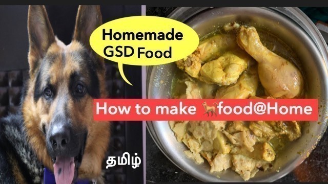 'pet dog homemade  food in Tamil  | How to make dog food at home  pet care tips |#mahabepositive'