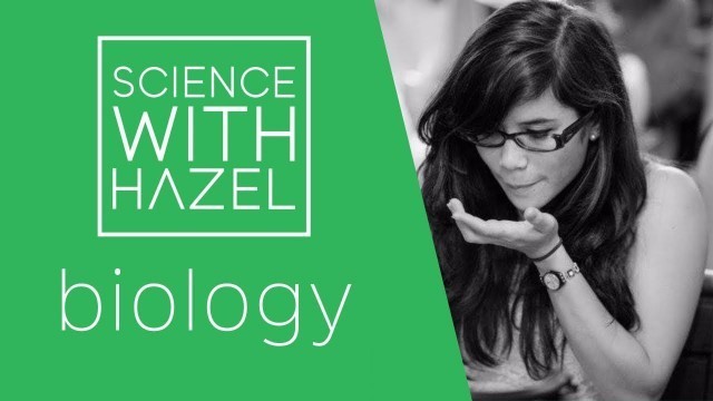 'Food Tests - GCSE Biology Revision - SCIENCE WITH HAZEL'