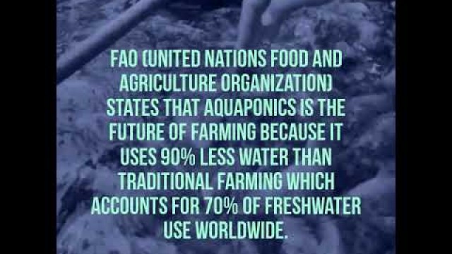 'FAO (United Nations Food and Agriculture Organization) states that Aquaponics is the future of farm…'