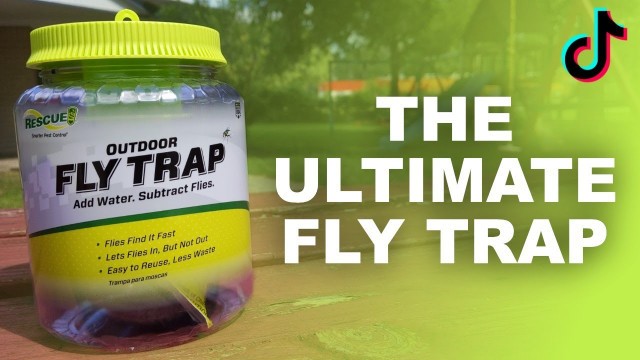 'TikTok\'s ULTIMATE Fly Trap | How to get rid of flies | It\'s disgustingly good'