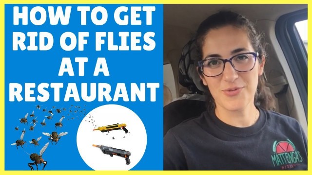 'How To Get Rid Of Flies At A Restaurant | Restaurant Owner Q&A'