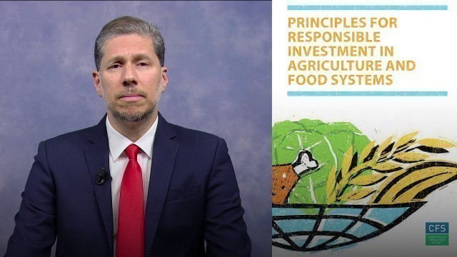 'The CFS Principles for Responsible Investment in Agriculture and Food Systems (CFS-RAI)'