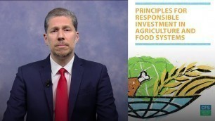 'The CFS Principles for Responsible Investment in Agriculture and Food Systems (CFS-RAI)'