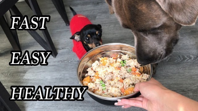 'HEALTHY HOMEMADE DOG FOOD RECIPE | WHAT I FEED MY DOGS | FAST & EASY'