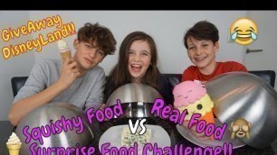 'SQUISHY FOOD vs REAL FOOD vs SURPRISE CHALLENGE! met DISNEY GIVEAWAY (GESLOTEN) - Bibi'