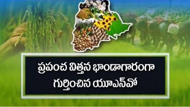 'Food and Agriculture Organization Of UN Recognizes Telangana as Global Seed Hub | T News'