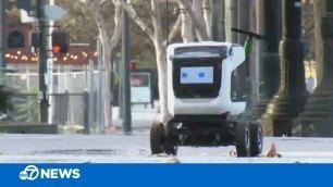 'Adorable robots helping with food delivery in California'