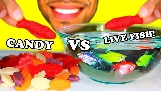 'ASMR GUMMY FOOD VS REAL FOOD EATING CANDY FISH VS REAL LIVE FISH CHALLENGE BEST GROSS NO TALKING'