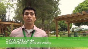 'Omar Orellana, Food and Agriculture Organization of the United Nations (Honduras-Consultor)'