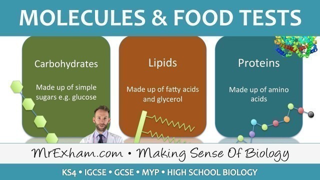 'Molecules and food tests - GCSE Biology (9-1)'