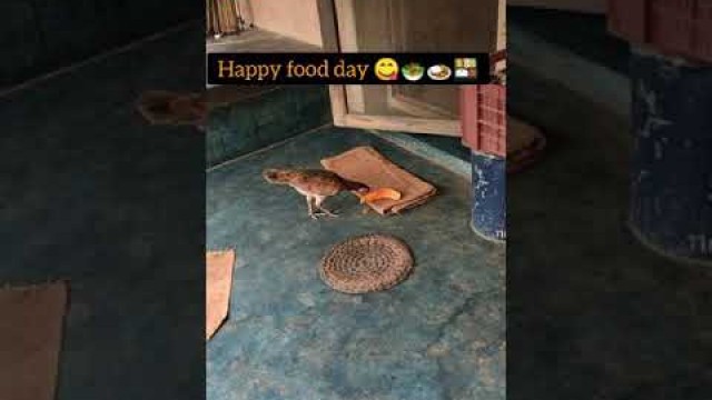 'உலக உணவு தினம்~food day