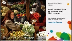 'Nutrition-sensitive agriculture and food systems'