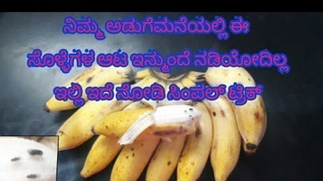 'Natural way to get rid of fruit flies|In Kannada|SRA Entertainment'