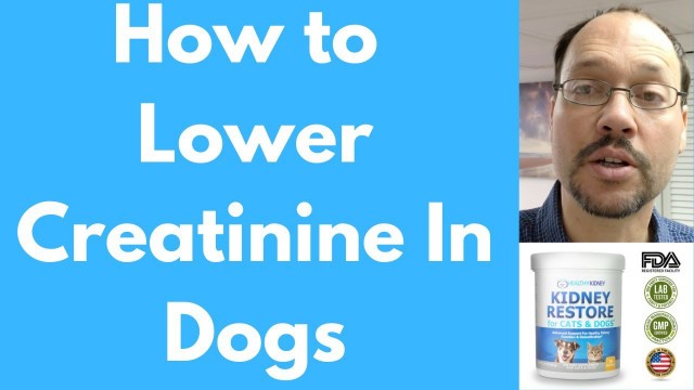 'How to Lower Creatinine Levels in Dogs with Kidney Restore | Lower Creatinine in Dogs With This'