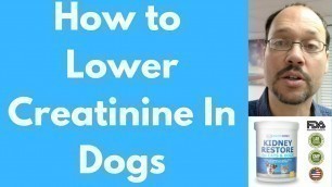 'How to Lower Creatinine Levels in Dogs with Kidney Restore | Lower Creatinine in Dogs With This'