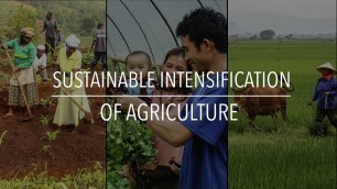 'FAO Policy Series: Sustainable Intensification of Agriculture'