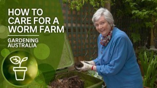 'Simple tips in how to take care of your worm farm'