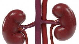 'Lower creatinine levels fast | Lower creatinine levels naturally | Lower creatinine home remedies'