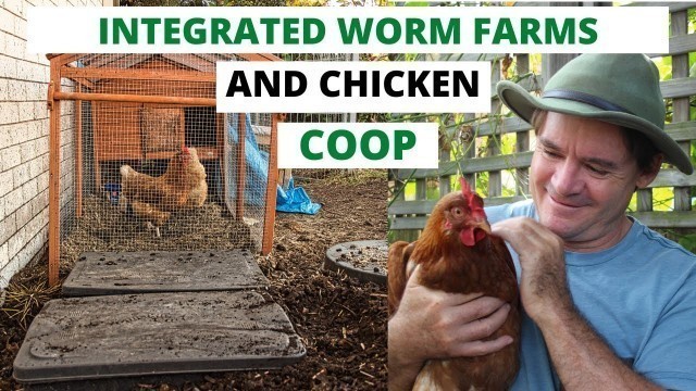 'INTEGRATED WORM FARM & CHICKEN COOP'