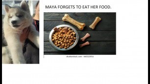 'Maya forgets to eat her food | Funny video | EP-4 | Maya And Sasha|'