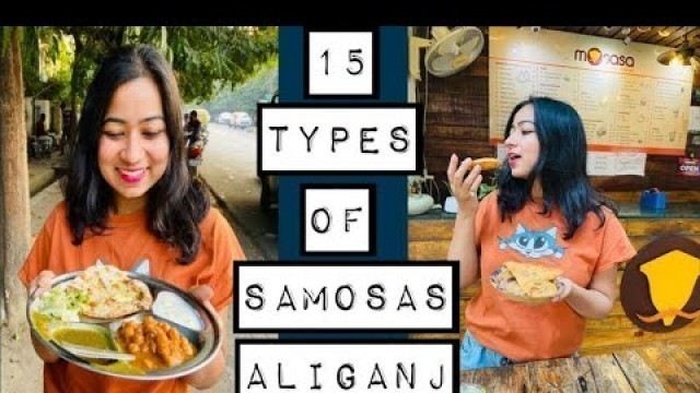 '15 Types Of Samosas Aur Chhole Kulche || Aliganj Street Food || Lucknow'