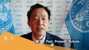 'WTO at 25: Food and Agriculture Organization'