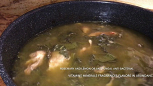 'Food forest soup let thy food be thy medicine'