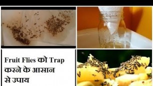 'How to get rid of Fruit Flies at Home & Kitchen effectively / Homemade Fruit flies Trap in Hindi'