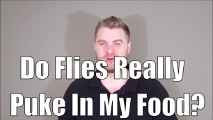 'Do Flies Really Puke In My Food?'