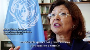 'Evaluación de la FAO y el cambio climático'