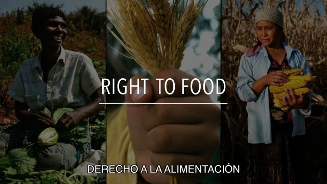 'FAO Serie sobre políticas: Derecho a la alimentación (con subtítulos)'