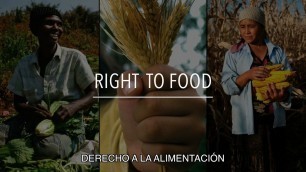 'FAO Serie sobre políticas: Derecho a la alimentación (con subtítulos)'