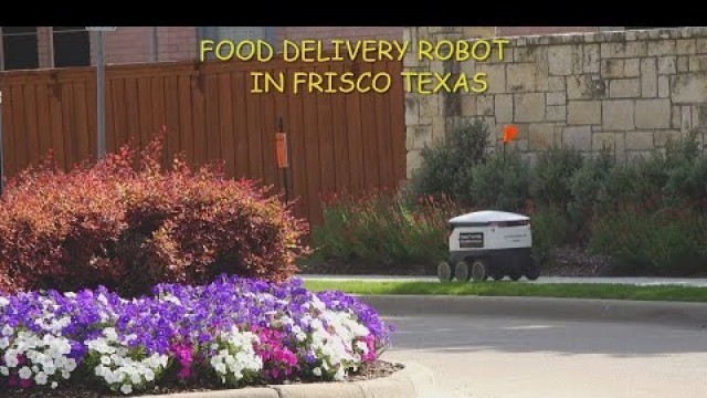 'Food delivery robot in Frisco Texas'