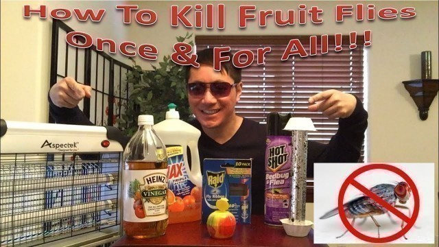 'How To Kill Fruit Flies Once & For All! | Trying All The Methods'