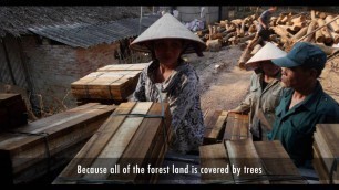 'State of the World’s Forests 2016: Forests and agriculture - land use challenges and opportunities'