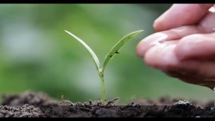 'Every day, everywhere, family farmers work hard to produce the food we eat'