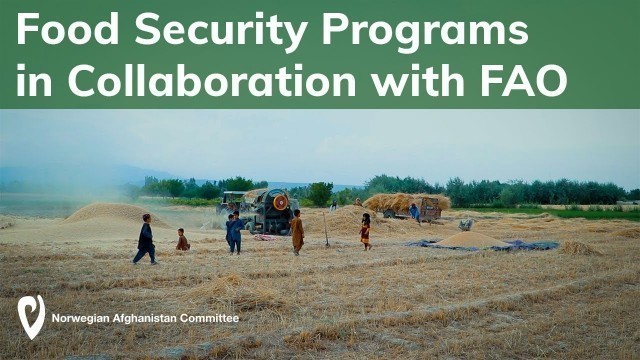 'Badakhshan, Ghazni and Kapisa: Food Security Programs in Collaboration with FAO'