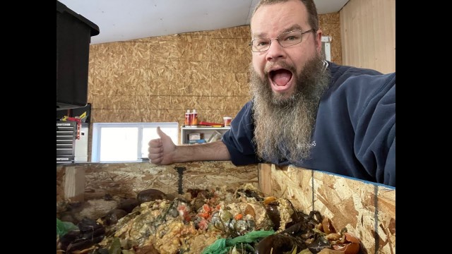 'We fed one of our worm bins 200 POUNDS of Food this week!'